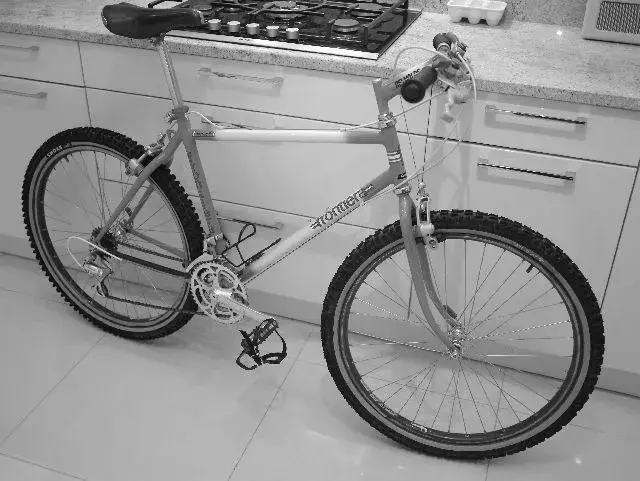 whole bike.webp