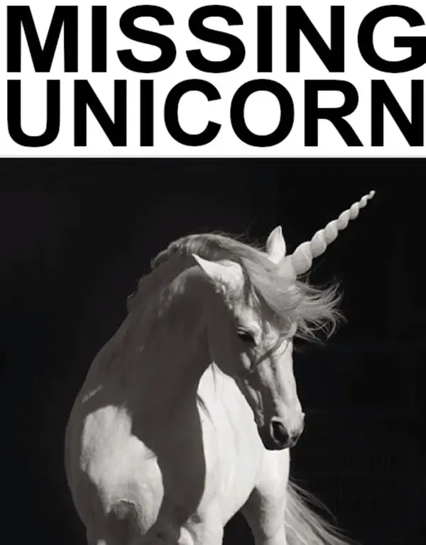 THE MISSING UNICORN..webp