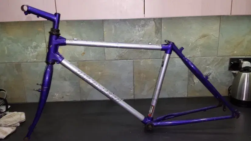 Frame.webp