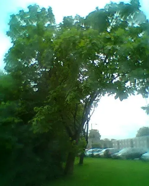 Photo0094.webp