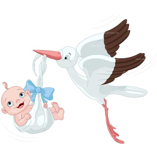 stork-baby120123.jpg
