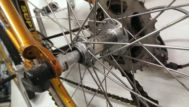 tnt rear.webp
