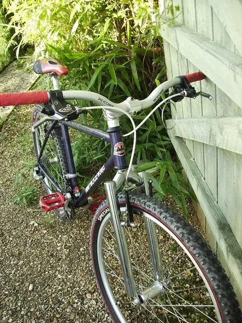 RM Fusion 003.webp