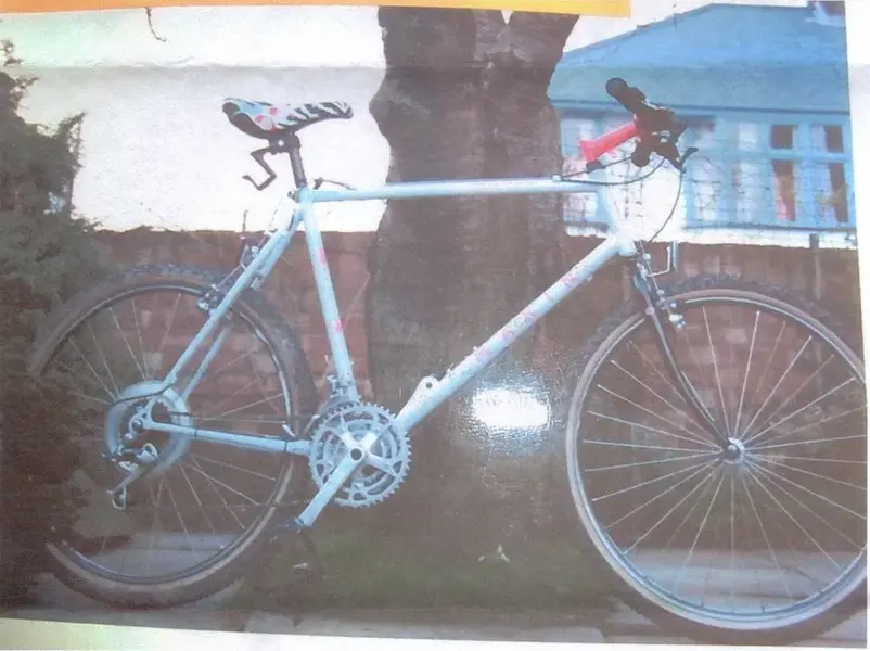 Marin Team 1988.webp
