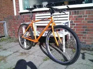 Stumpjumper 07b.webp