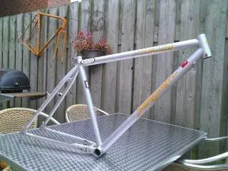 Stumpjumper 01b.webp