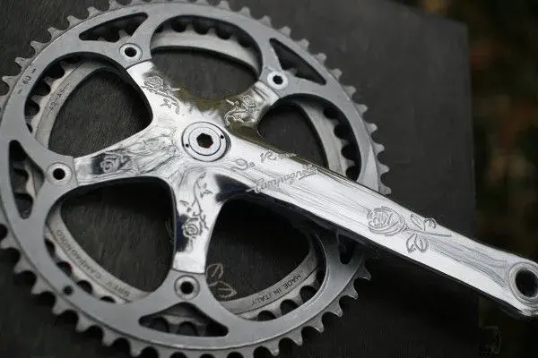 c-record de rosa7.webp