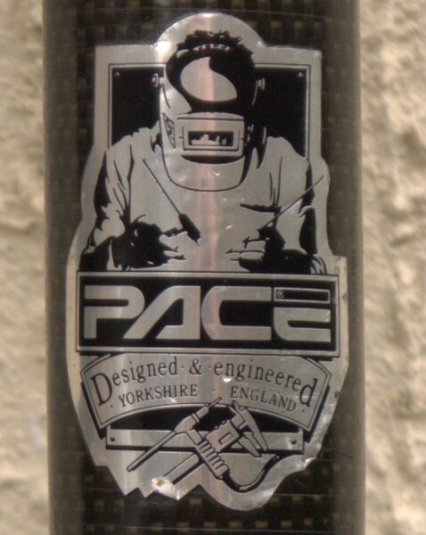 Pace logo.jpg