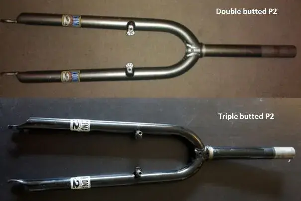 P2 Comparison.webp
