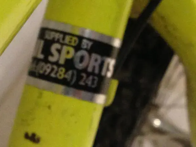sail sports.webp