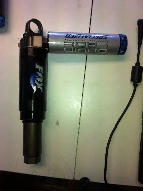 image (8).webp