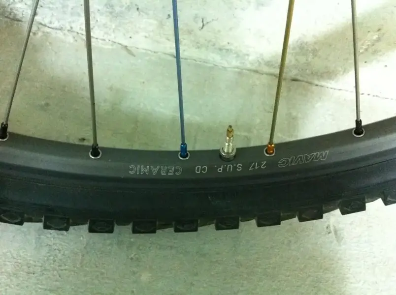 Image4.webp