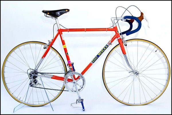 Merckx Falcon.jpg