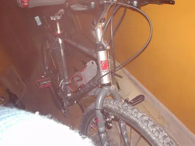 DSC00561.webp