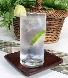 gin_tonic.webp