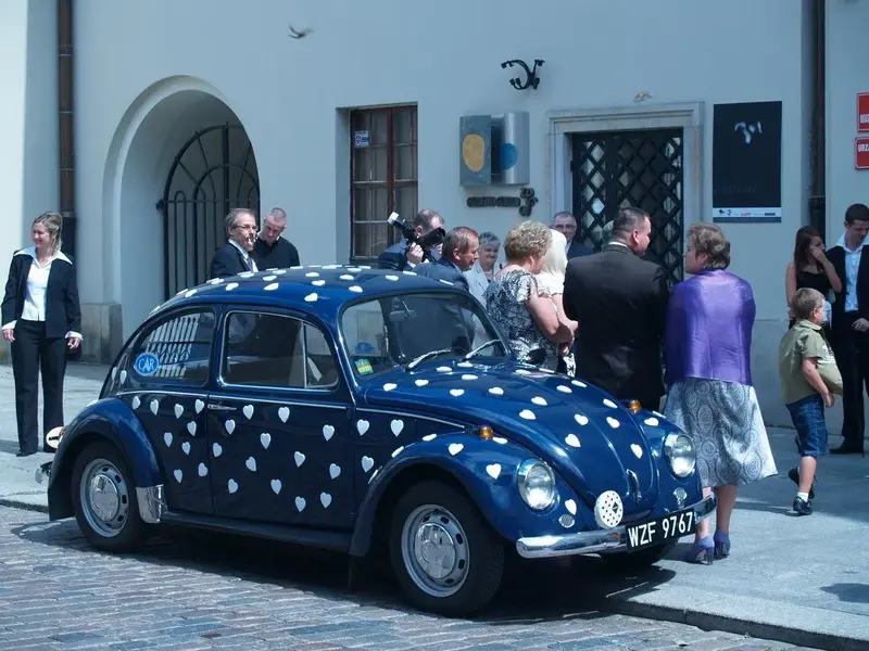Our Beetle.webp