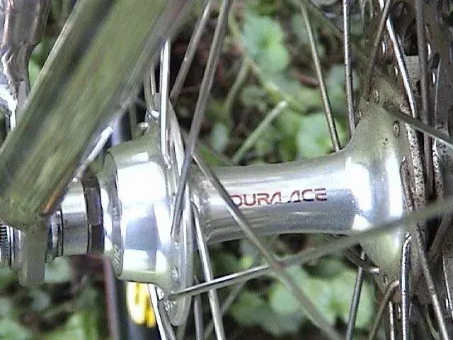 DSC09032.webp