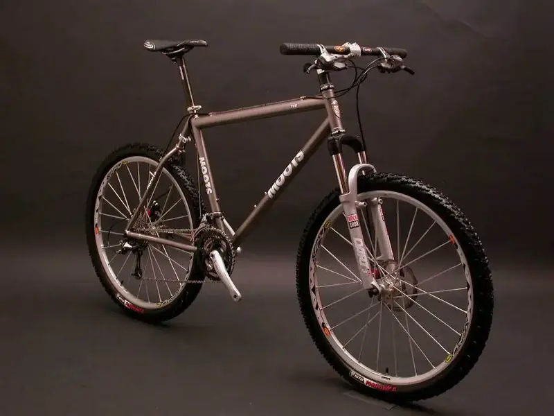 Moots.webp