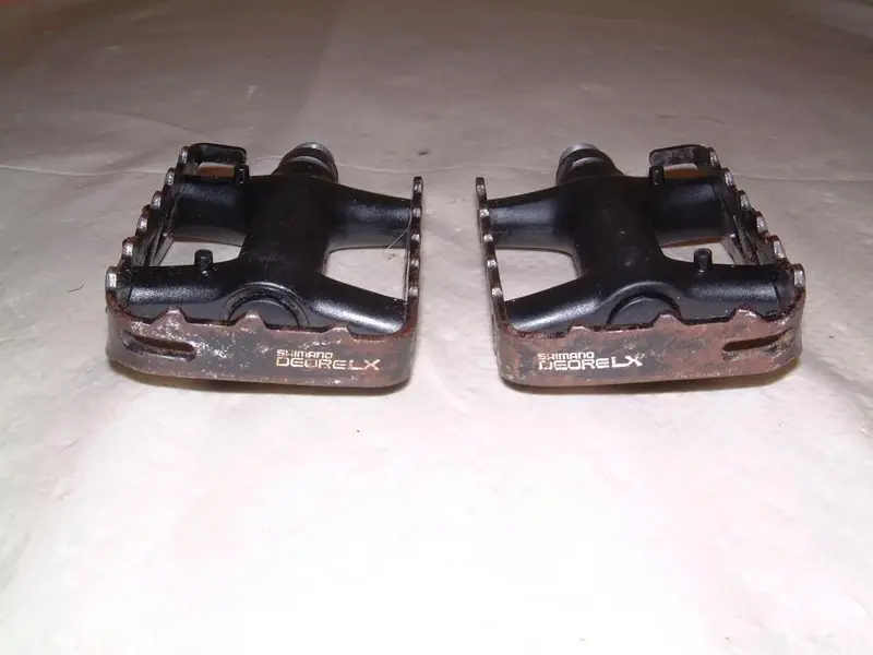 DSCF0100a.webp