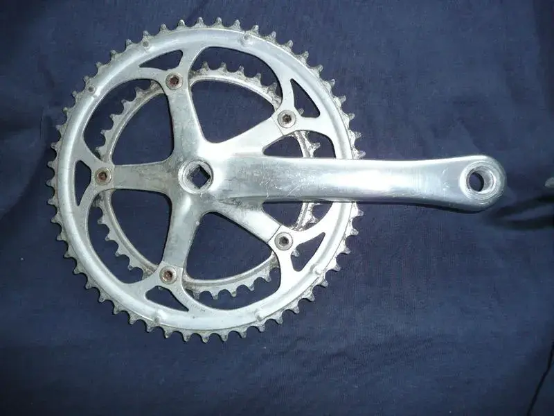 Campag.webp
