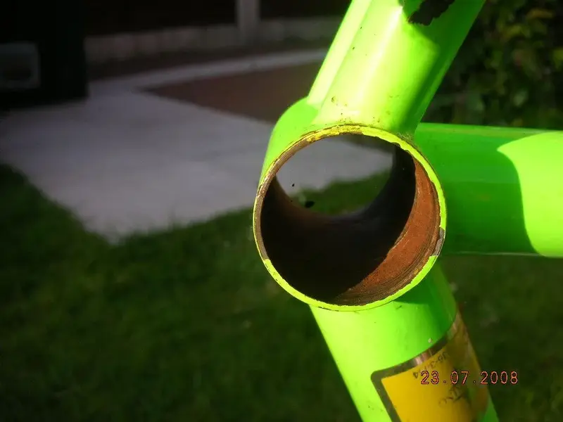 DSCN4579.webp
