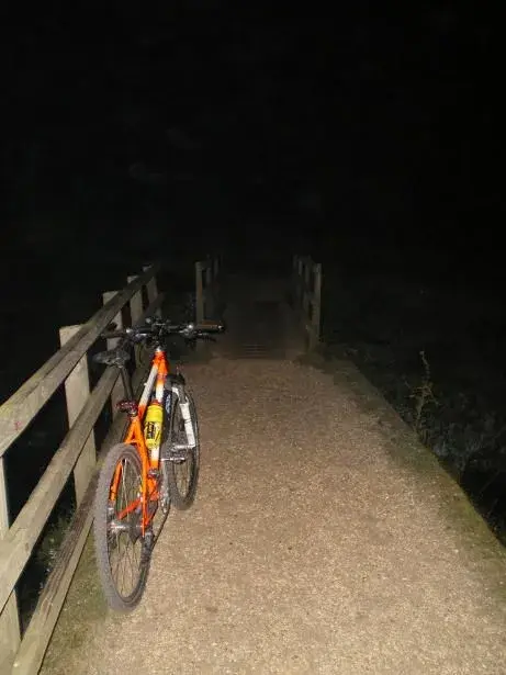 nightride 008resize.webp