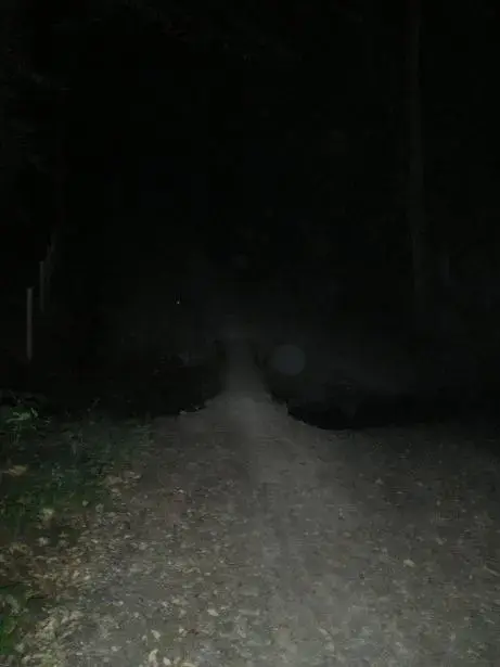 nightride 020resize.webp