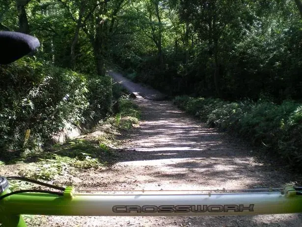 ride in! 008resize.webp