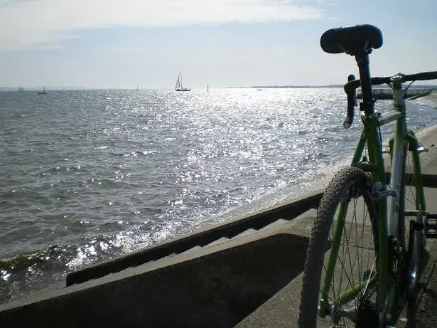 ride in! 002resize.webp