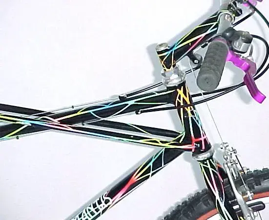 Mantis 3.webp
