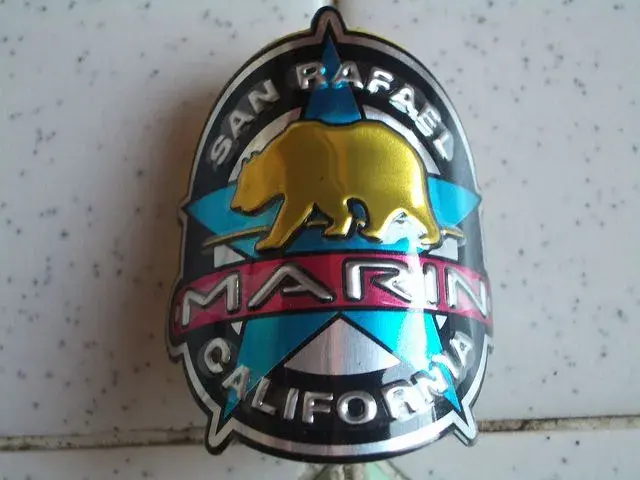 head badge.webp