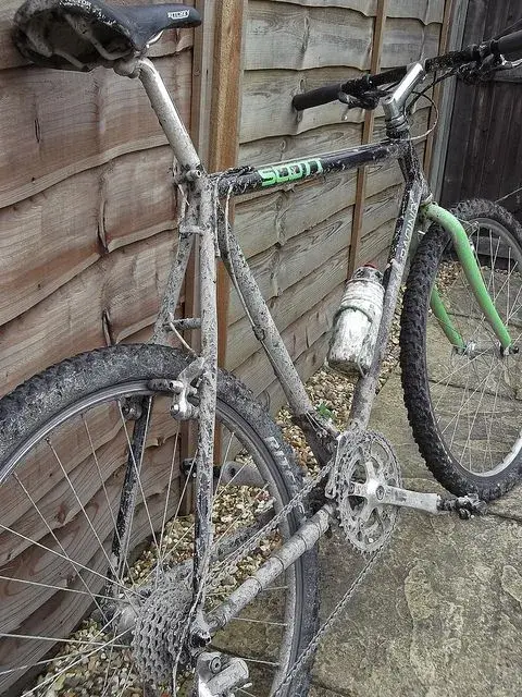 1st rides 2.webp