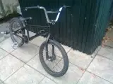 Photo0549.webp