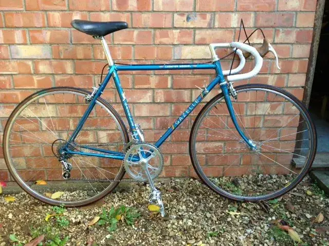 Gazelle.webp