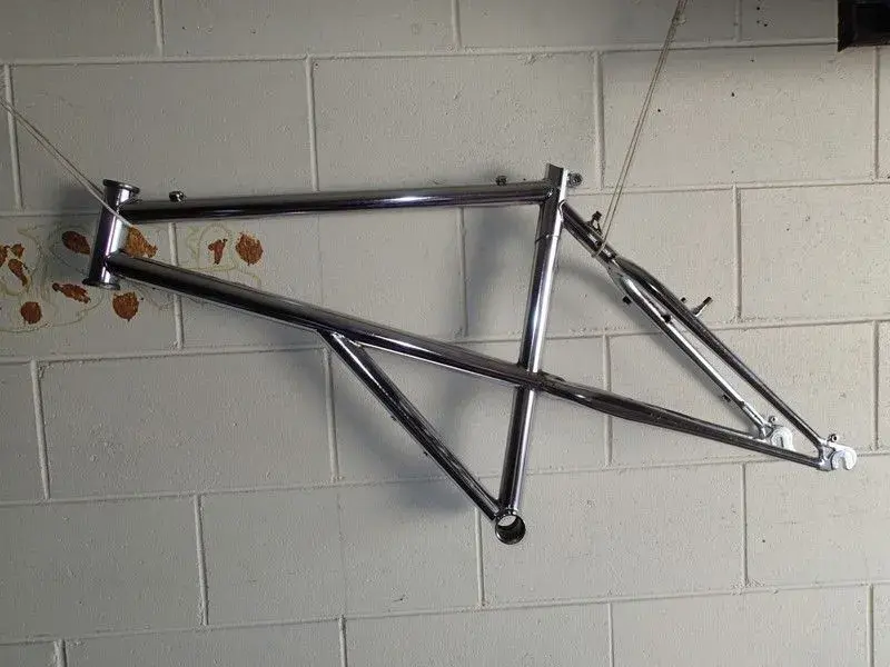 Avanti_Rev_Stripped.webp
