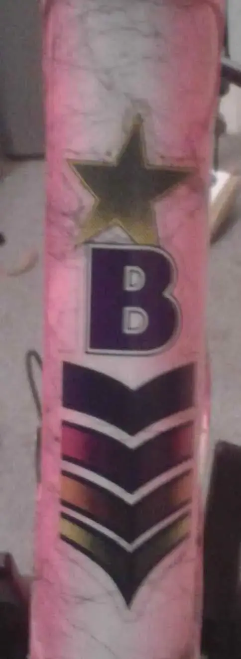 headbadge.webp