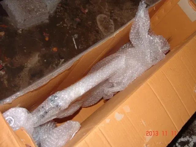 DSC08968.webp