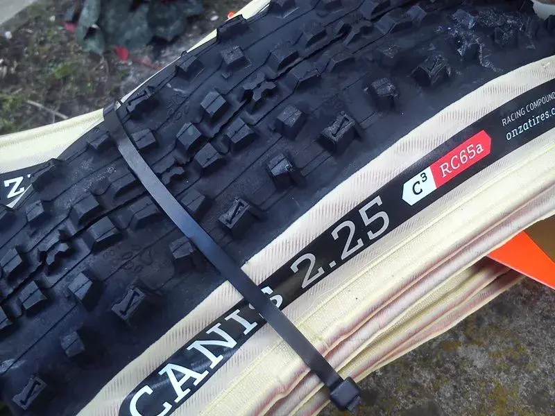 Cannis.webp