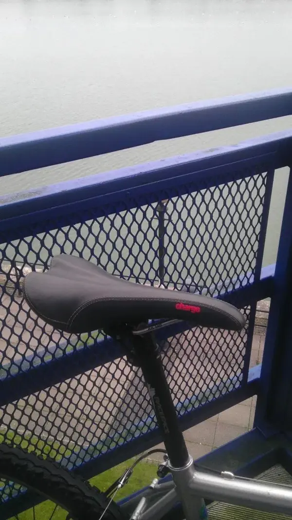 IMAG1052.webp