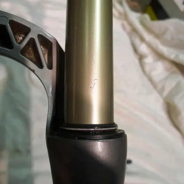 forks 020.webp