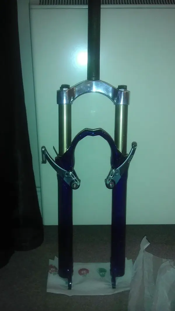 IMAG1006.webp