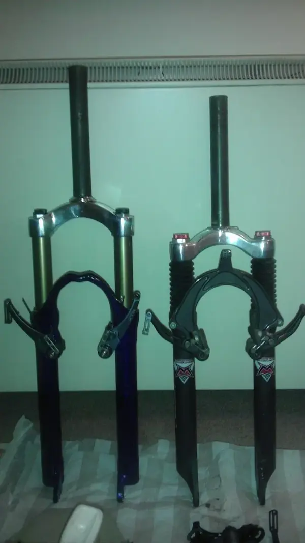 IMAG1007.webp