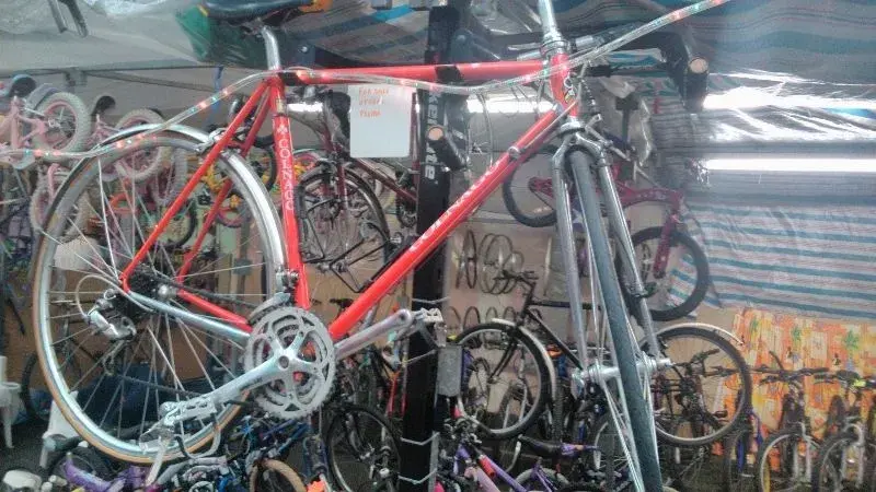 pztz (800x450).webp