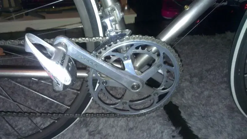 IMAG0377_BURST001 (800x451).webp