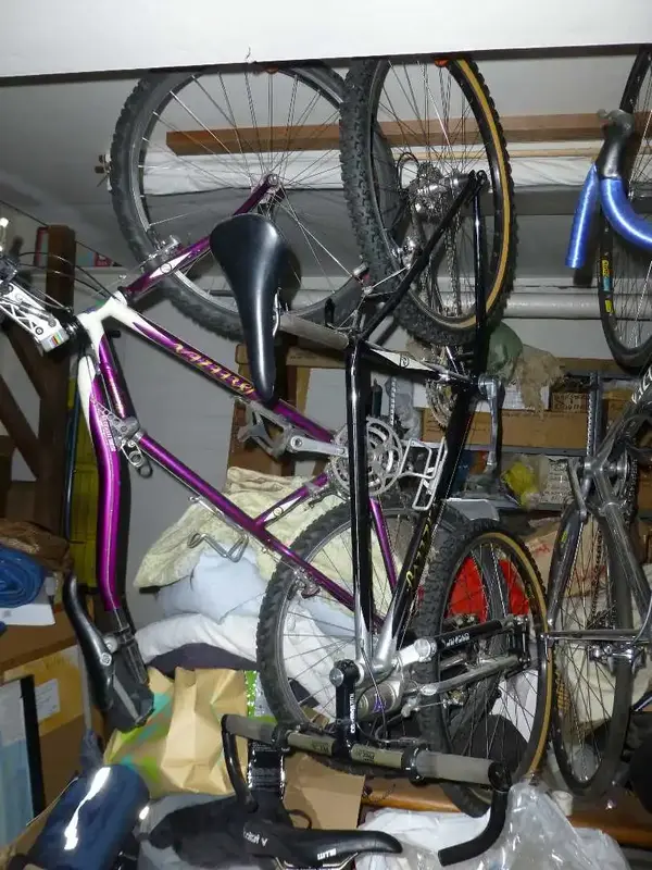 Beam bike, Lawwill Leader bike.webp