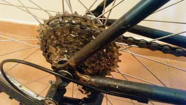 20131203_115645.webp