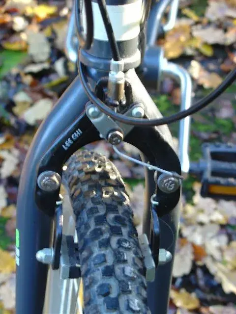 DSC06568 (480x640).webp