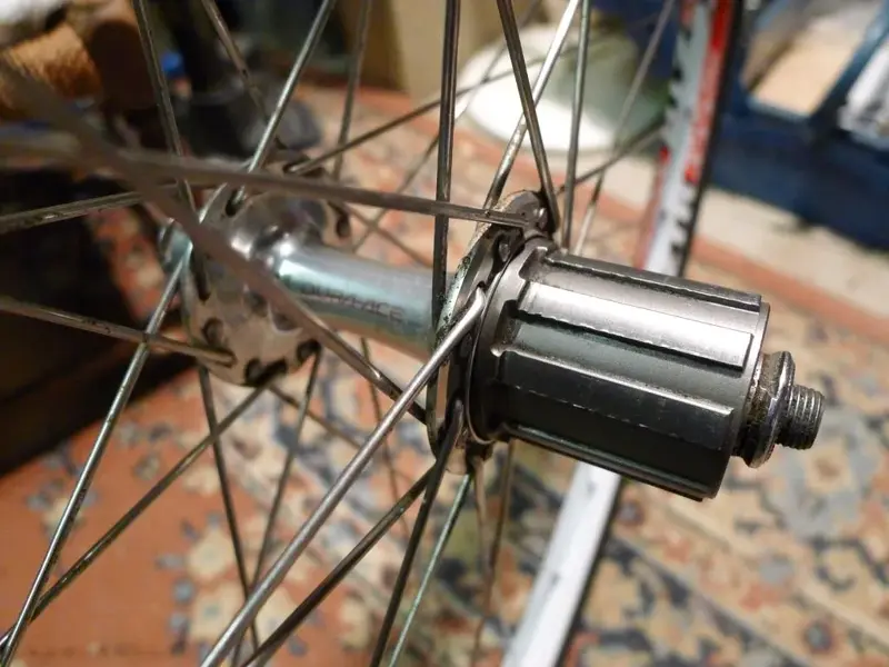 CX_wheels 005.webp