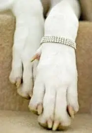image.webp