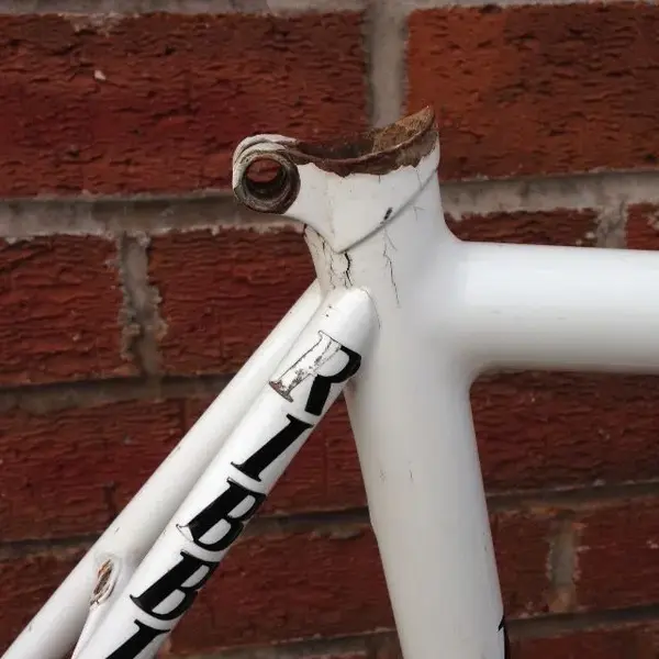 Ribble frame (5).webp